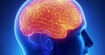 Fundamentos y Bases de la Neuropsicología
